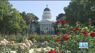California State Audit Outlined Employees' Bad Behaviors