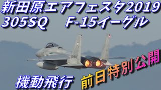 新田原エアフェスタ2019 前日特別公開 梅組 305SQ F-15イーグル 機動飛行