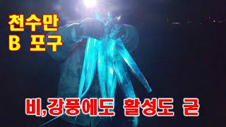 천수만 B 포구 비,강풍 속 활성도 굳