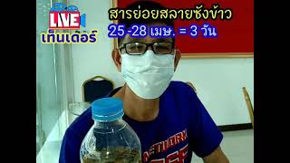 #สารย่อยสลายฟางข้าว #กำจัดเม็ดข้าวดีด เม็ดหญ้า....ไร้สารเคมี โทร.081-1050365