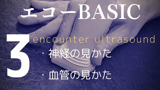 encounter　US　第3回 短軸/長軸の練習にピッタリ!!血管と神経の見方