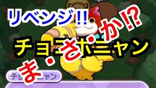 【妖怪ウォッチぷにぷに】チョコボニャンリベンジ!!!Yo-kai Watch 微課金games