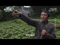 破解重庆武陵山“z”形天坑的秘密 武陵山传奇 5 20200809 《地理·中国》 cctv科教