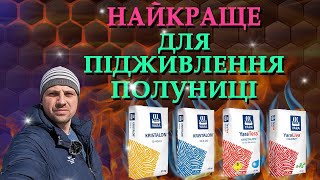 Удобрения для подкормки клубники. YARA