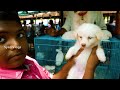 cheapest pets🐕market trichy🤩 ponmalai santhai திருச்சி பொன்மலை.... part 4