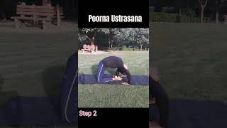 Poorna Ustrasana Step by Step|| Advanced Backward Bending Pose|| #shorts