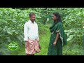 Kissan Krishideepam Episode - 1067 An incredible farmer with ridge gourd as his master crop