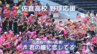 佐倉高校 野球応援 「君の瞳に恋してる」千葉県を代表する伝統校の熱い応援（千葉県高校野球応援2018）