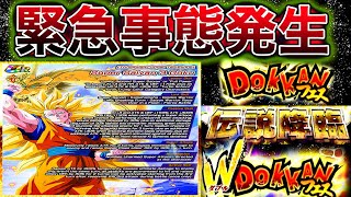 【ドッカンバトル】全ユーザー大騒ぎ!!!!!新フェス限LR『龍拳悟空』実装登場これマジ！？真意とやっぱり悟空の日は待望されてる件！【Dokkan Battle】