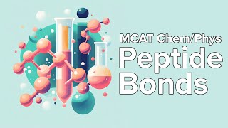 MCAT Chem/Phys Review: Peptide Bonds