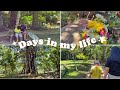 A WEEK IN MY LIFE | All we have is now