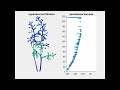 3d grapevine inflorescence architecture x ray imaging u0026 morphometrics