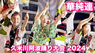 【阿波おどり2024|華純連】力強い眼差しで輝き放つ演舞が心を熱くする！【久米川阿波踊り大会】