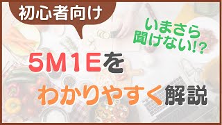 【初心者向け】現場で使える5M1Eをわかりやすく解説！