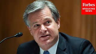 FBI Director Christopher Wray Testifies Before The House Judiciary Committee