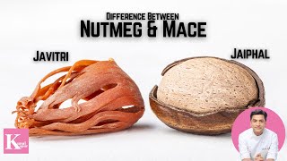 Difference between Javitri \u0026 Jaiphal जावित्री जैफल में फरक Mace \u0026 Nutmeg | Kunal Kapur Indian Spices