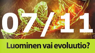 Luominen vai evoluutio? 7/11, evoluution vuosimiljoonat, Mikko Tuuliranta