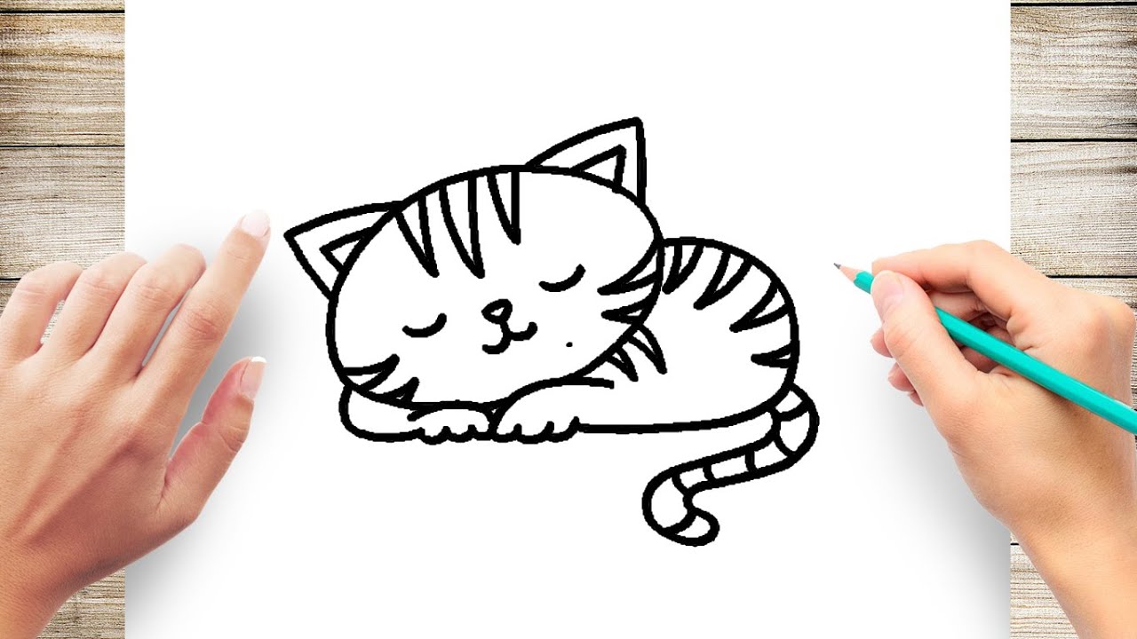 Simple Sleeping Cat Drawing Youtube