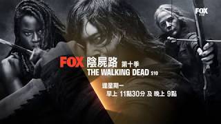 召集美劇控-《陰屍路The Walking Dead》第十季