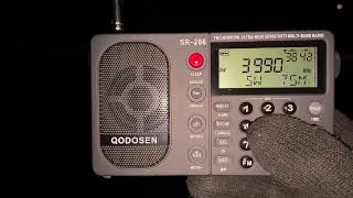 PBS Xinjiang 3990 kHz – Changji Autonomous Prefecture, China (4197 km)