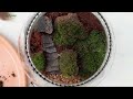 terrarium how to make terrarium moss terrarium fairy garden