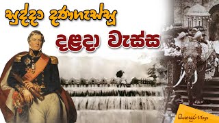 සුද්දා දණගැස්සූ දළදා වැස්ස | සිංහපුර Vlogs