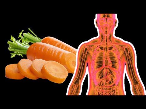 What does 5 carrots weigh?