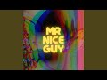 Mr Nice Guy