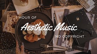 1 Hour of Aesthetic Music | No Copyright Background Music Playlist 🎼