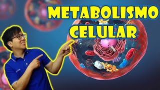 [ BIOLOGIA FREE ] - METABOLISMO CELULAR 👉😍🌿