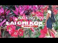 Walking Tour in  Lingnan Garden at Lai Chi Kok Park in Hong Kong