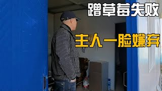 关中富平第一次蹭饭，军哥去蹭草莓被主人家一脸嫌弃赶出来【娄哥蹭饭正能量】