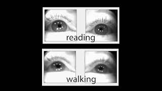 Reading and visual health - myopia