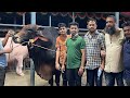 Giant Heavyweight Deshal Bull | Sadeeq Agro | Exclusive Bulls Of Bangladesh