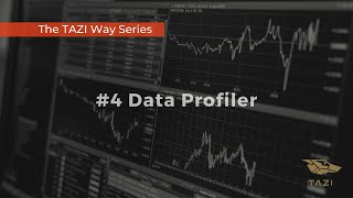 The TAZI Way Series #4 Data Profiler