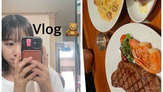 [Vlog] 일상브이로그 / 대전신세계백화점 (아쿠아리움,아웃백) / 삼겹살김치볶음밥