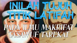 INILAH TUJUH TITIK LATIFAH DI TUBUH MANUSIA ILMU MAKRIFAT TAREKAT TASAWUF