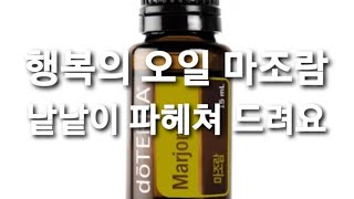 [마조람 오일 | marjoram] 뇌가 건강해야 행복할 수 있어요 행복의 오일 마조람을 소개합니다!!!