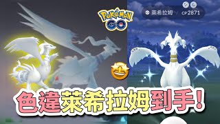 萊希拉姆晚餐約會🔥‼️色違白龍駕到😱🤩⁉️【Pokémon GO】阿A