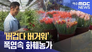 '버겁다 버거워' 폭염속 화훼농가 -R (230807월/뉴스투데이)