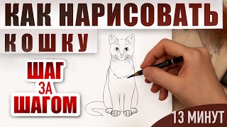 Как нарисовать кошку поэтапно карандашом | Обучающие видео-уроки рисования для начинающих.