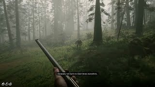 What Happens If You DON’T Kill The Skinner Patrol Or Kill Them Too Early? | Red Dead Redemption 2