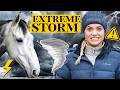 Storm Prep - keep the horses safe - This Esme Ad