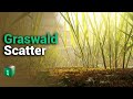 Blender Secrets - Free Geometry Nodes-based scatter add-on: Graswald Scatter