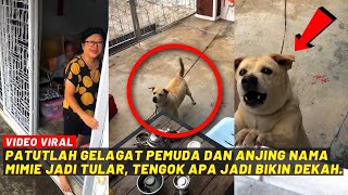 PATUTLAH GELAGAT PEMUDA DAN ANJING NAMA MIMIE JADI TULAR, TENGOK APA JADI BIKIN DEKAH...