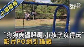 「狗狗爽盪鞦韆.小孩子沒得玩」 影片PO網引論戰｜TVBS新聞 @TVBSNEWS02