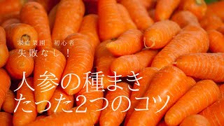 【家庭菜園初心者向け】人参の種まき2つのコツ！