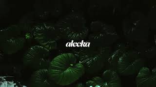 LATIN HOUSE | ENERGETIC MIX | alecka for WMFE Radio