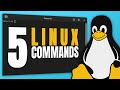 5 Linux Commands Every Beginner Should Know