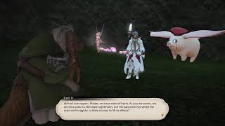 Final Fantasy XIV (155)